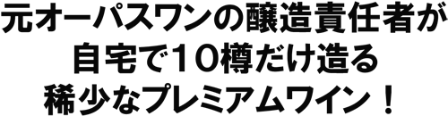 ポートフォリオ　リミテッド・エディション　２００９　稀少プレミアム