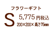 r@5,250~ō