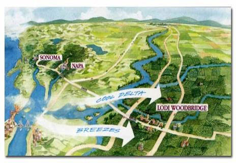 アイアンストーン・ヴィンヤーズ 地図