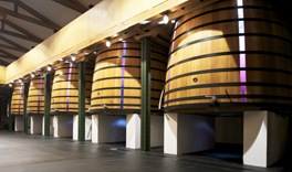 （赤）ル・プティ・ムートン 2011　Mouton oak vats　