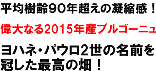 平均樹齢９０年超えの凝縮感！偉大なる2015年産ブルゴーニュ。ヨハネ・パウロ二世の名前意を冠した最高の畑！