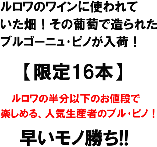 ルロワのワインに使われていた畑！その葡萄で造られたブルゴーニュ・ピノが入荷！【限定16本】ルロワの半分以下のお値段で楽しめる、人気生産者のブル・ピノ！