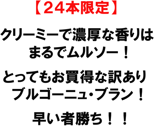 【24本限定】クリーミーで濃厚な香りはまるでムルソー！とってもお買得なわけアリブルゴーニュ･ブラン！早い者勝ち！！