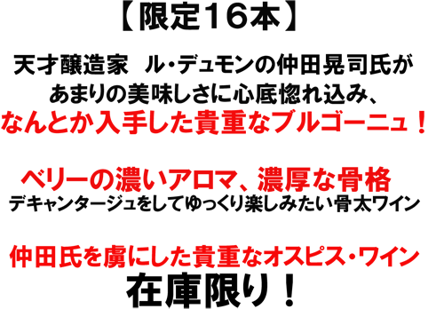 メゾン・ルー・デュモン オスピス・ド・ニュイ ジュヴレ2008　仲田晃司氏