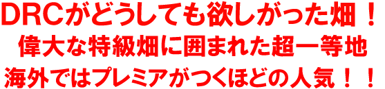 DRCがどうしても欲しがった畑！”偉大な特級畑に囲まれた超一等地。海外ではプレミアがつく大人気！