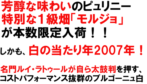 ルイ・ラトゥール　シャサーニュ・モンラッシェ モルジョ2007特別な１級畑