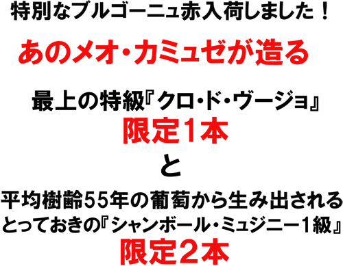 メオ・カミュゼ クロ・ド・ヴージョ＆ シャンボール・ミュジニー１級2011