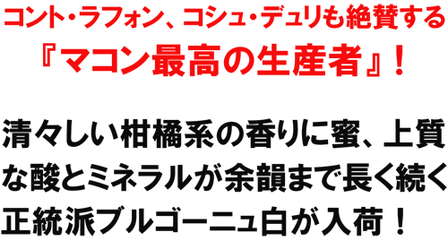 コント・ラフォン、コシュ・デュリも絶賛する「マコン最高の生産者」！清々しい柑橘系の香りに蜜、上質な酸とミネラルｇあ余韻まで長く続く、正統派ブルゴーニュ白が入荷！