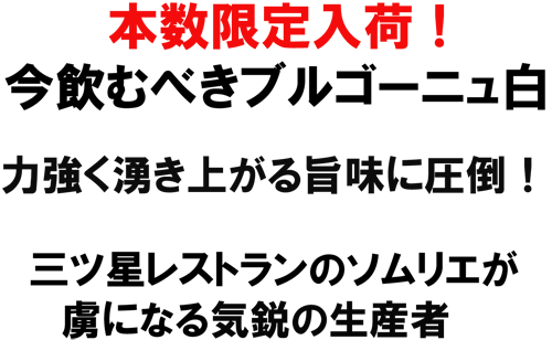 本数限定入荷！今飲むべきブルゴーニュ白。力強く湧き上がるうまみに圧倒！三ツ星レストランのソムリエが虜になる気鋭の生産者