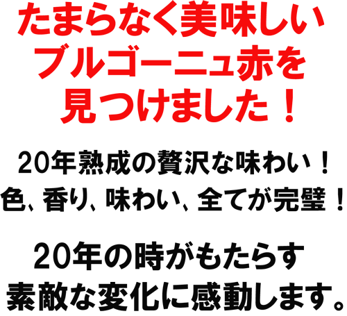 たまらなく美味しいブルゴーニュ赤！20年熟成の贅沢な味わい！色、香り、味わい、全てが完璧！20年の時がもたらす素敵な変化に感動します。