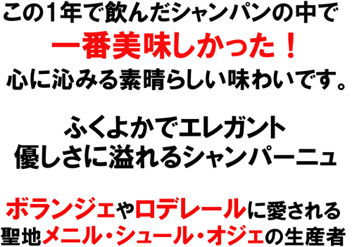 クロード・カザル　カルト・ブランシュＮＶ　エレガント！