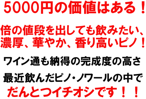 イチオシ！コノスル　２０バレル　ピノ・ノワール リミテ