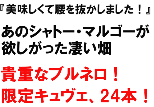 美味しくて腰を抜かしました！あのシャトー、マルゴーが欲しがった凄い畑！機著運あブルネロ！限定キュヴェ24本