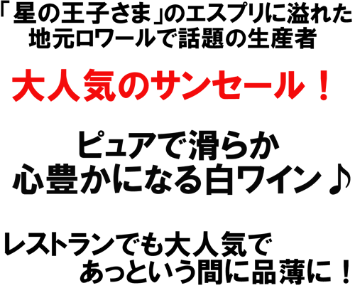 (白)エリック・ルイ サンセール・ブラン 2012　「星の王子さま」