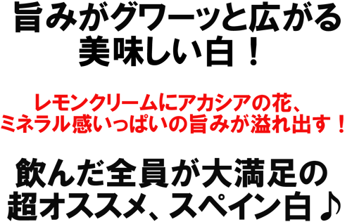 （白）トマダ・デ・カストロ グラン・リバド　アルバリーニョ　スペイン白♪