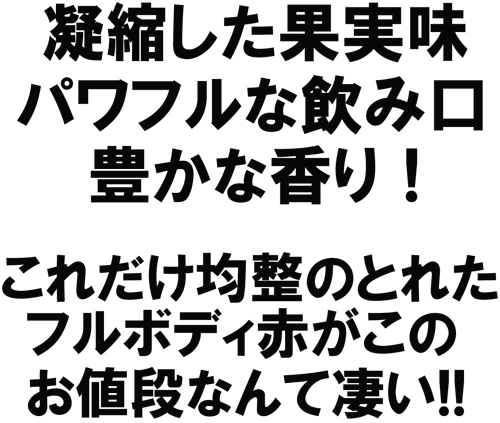 凝縮した果実味、パワフルな飲み口、豊かな香り！これだけ均整の取れたフルボディ赤が、このお値段なんてすごい！