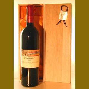2006 Cantina Tollo Cagiolo Montepulciano dAbruzzoイタリア産ヴィンテージワイン