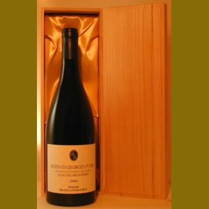 2006 PATRICE RION NUITS ST GEORGES CLOS DES ARGILLIERES