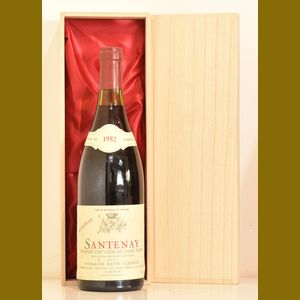 1982 Rene Fleurot Santenay 1er Cru Clos du Passe Temps Monopoleフランス産ヴィンテージワイン