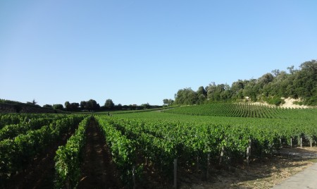 シャトー・マルゴー