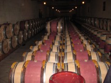 chateaumargaux蔵で眠る樽