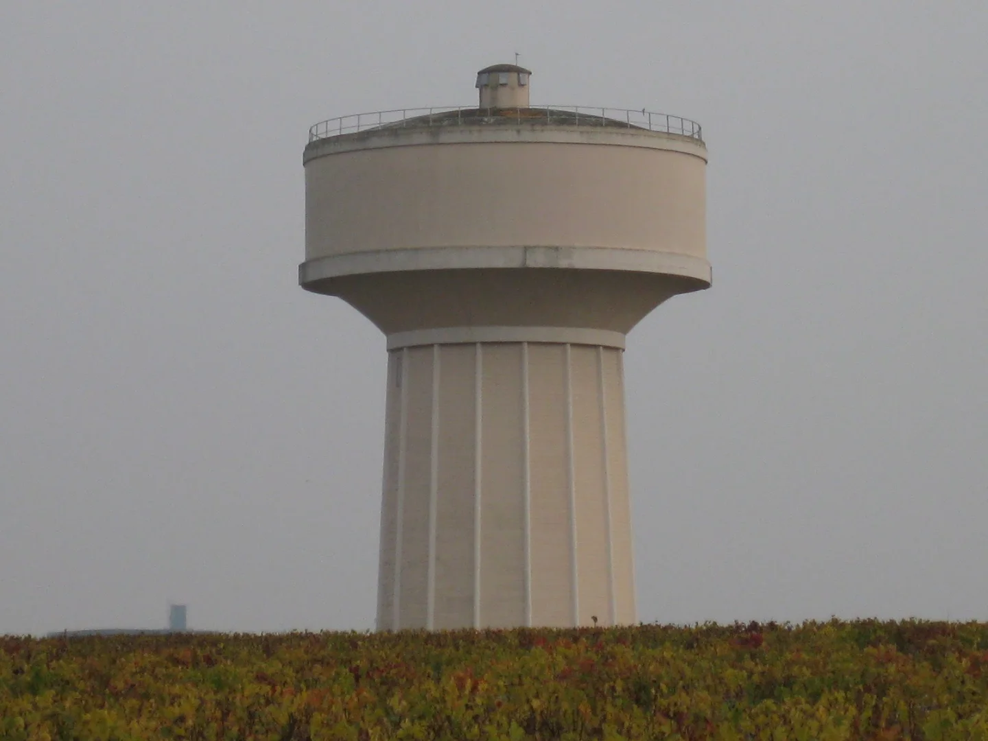 2008-11-05 酒井 浩撮影 シャトー・オー・ブリオンのブドウ畑越しに望む給水塔（ペサックの名景）
