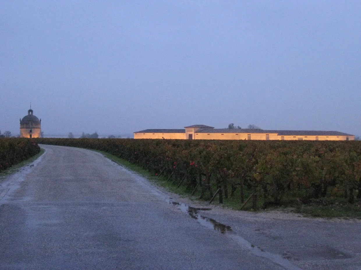 2008-11-05に酒井 浩が撮影した雨上がりの夕暮れのシャトー・ラトゥール全景。塔と醸造庫、ブドウ畑ランクロ。