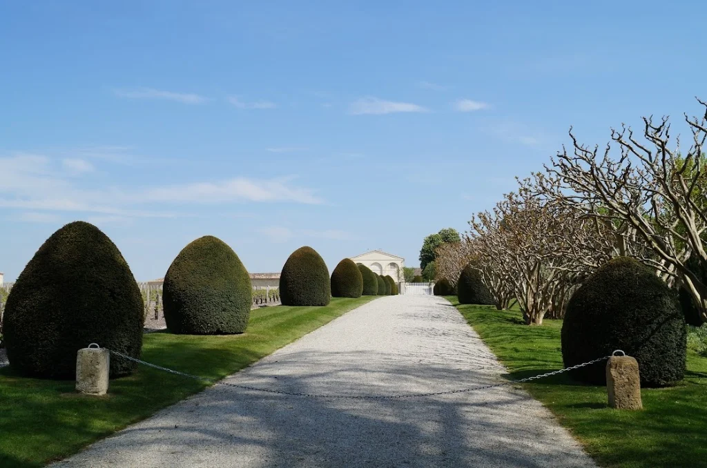 2013-04-29に酒井 浩（プラチナワイン（有限会社デリバリー・ワイン）代表）がシャトー・ムートン・ロートシルト / Pauillac, Médoc, Bordeaux, Franceで撮影した卵型に刈り込まれたイチイ（トピアリー）が左右に整然と並ぶ白いグラベルアプローチ。奥にはLe Petit Moutonの新古典主義ペディメントが見え、左側には春先