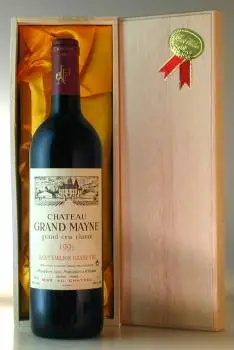 １９９５ シャトー・グラン・メイヌ Ch Grand Mayne