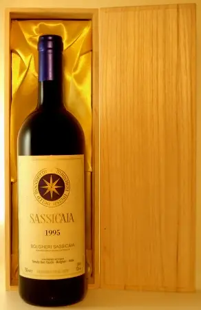 １９９５年　サッシカイア