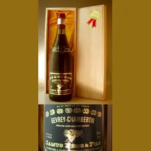 1989 Camus Pere & Fils　Gevrey-Chambertinフランス産ヴィンテージワイン